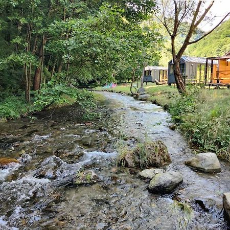 Transfagarasan River Retreat 阿雷富 外观 照片
