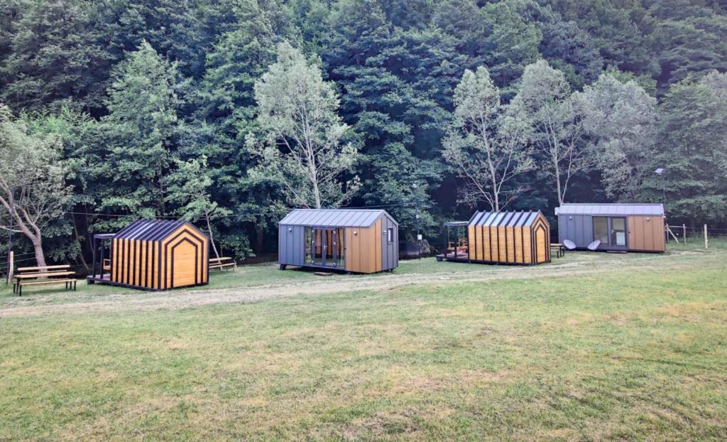 Transfagarasan River Retreat 阿雷富 外观 照片