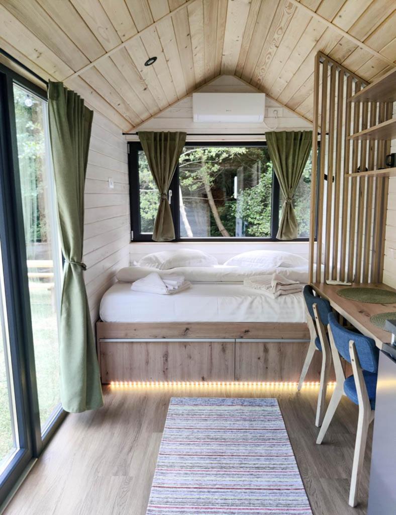 Transfagarasan River Retreat 阿雷富 外观 照片