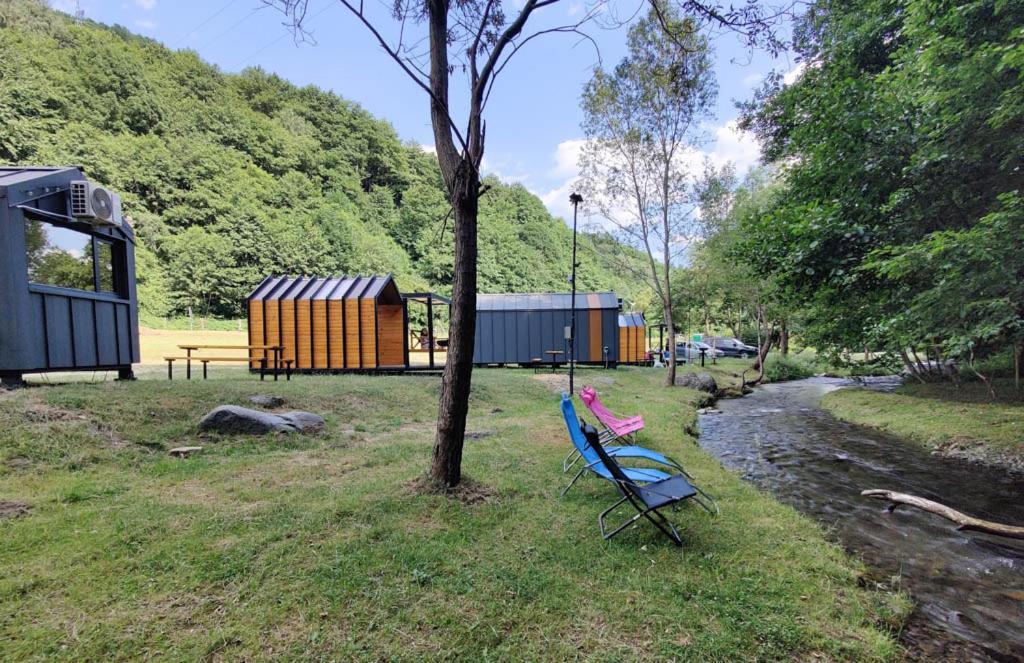 Transfagarasan River Retreat 阿雷富 外观 照片